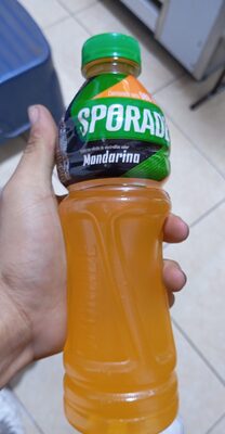 [386] Sporade mandarina