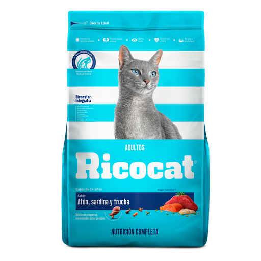 [997] Ricocat